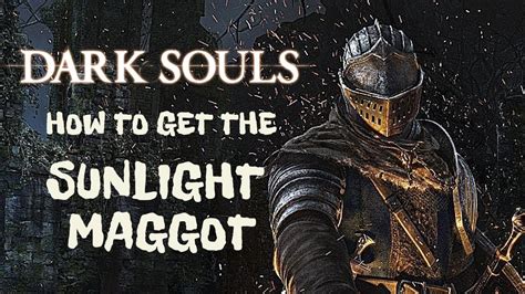 dark souls sunlight maggot|sunlight maggot location.